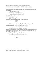 Đề thi kiểm định chất lượng mũi nhọn