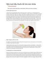 Nho Tươi liều thuốc bổ cho sức khoẻ