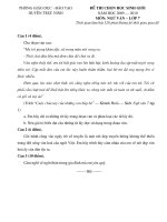 Đề thi HSG NV7 huyen Truc Ninh (09-10)