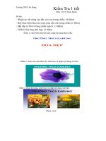 Kiem tra 1 tiet tin 9 thuc hanh