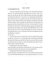 nghiên cứu ứng dụng một số bài tập bổ trợ nhằm nâng cao thành tích nhảy xa kiểu ngồi cho người học