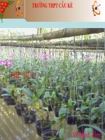 BAI 17 CTC VA PHAN LOAI