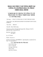 BÁO CÁO THỰC TẬP TỔNG HỢP VỀ CÁC HOẠT ĐỘNG QUẢN TRỊ TẠI CÔNG TY CỔ PHẦN ĐẦU TƯ PHÁT TRIỂN BẮC MINH