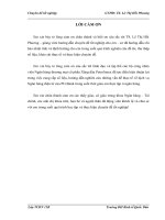 luận văn tài chính ngân hàng Giải pháp phát triển dịch vụ Ngân hàng điện tử tại Ngân hàng TMCP Xăng dầu Petrolimex