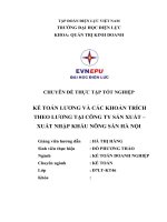 luận văn kế toán Hoàn thiện công tác kế toán tiền lương và các khoản trích theo lương tại Công ty sx - XNK nông sản Hà Nội - HAGRIMEX.