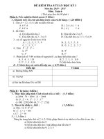 ĐỀ KIỂM TRA 8 TUẦN HỌC KỲ I  Năm học 2010 – 2011 Môn : Toán 6