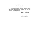 luận văn thạc sĩ kế toán Hoàn thiện mô hình kế toán quản trị cho các công ty cổ phần thuộc Tổng công ty tư vấn thiết kế giao thông vận tải.