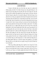 Báo cáo tổng hợp về tình hình hoạt động kinh doanh tại Công ty cổ phần thương mại & du lịch Ngôi nhà Việt.DOC