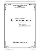 ĐỀ TÀI THUYẾT TRÌNH CÁC LOẠI SOLAR CELLS, KHOA VẬT LÝ, TRƯỜNG ĐẠI HỌC KHOA HỌC TỰ NHIÊN