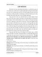 luận văn kế toán Tổ chức công tác kế toán bán hàng và xác định kết quả bán hàng tại văn phòng Hà Nội thuộc công ty TNHH Perfetti Van Melle (Việt Nam)