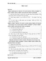 tóm tăt luận văn thạc sĩ Thực trạng chất lượng hoạt động tín dụng ngắn hạn tại NHNo & PTNT chi nhánh tỉnh Nam Định