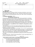 Kiểm tra giữa học kì II môn tiếng việt