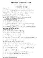 De cuong on tap HKII khoi 12