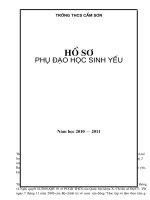 KẾ HOACH PHỤ ĐẠO HS YẾU NĂM HỌC 2010-2011