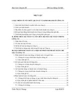 luận văn kế toán HÌNH THỨC KẾ TOÁN VÀ TỔ CHỨC BỘ MÁY KẾ TOÁN TRONG CÔNG TY cổ phần Tara