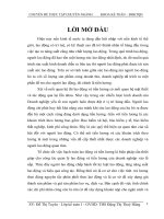 luận văn kế toán Hoàn thiện Kế toán tiền lương và các khoản trích theo lương tại Công ty Cổ phần thương mại và dịch vụ truyền thông Bihaco