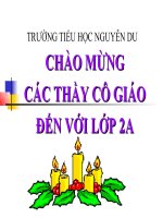 Tự nhiên và xã hội: Một số loài vật sống trên cạn