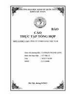 luận văn kế toán Hoàn thiện kế toán bán hàng tại công ty TNHH Sanli Việt Nam