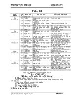 giao an lop 4 tuan12 CKTKN + BVMT