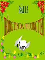 Bài 13: Thông Tin Đa Phương TIện
