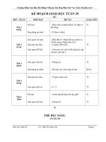 giao an 5 tuoi tuan 29