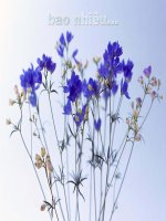 Bài 18:Sống có đạo đức