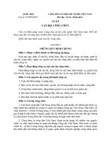 Luat Can bo, cong chuc 2010