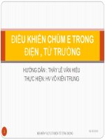 Tiểu luận điều khiển chùm E trong điện, từ trường