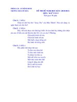 ĐỀ THI NGỮ VĂN 9 HKII.NH 10-11