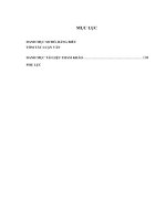 Hoàn thiện phân tích tình hình tài chính tại Công ty Cổ phần Đầu tư và Thương mại TNG