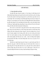 luận văn tài chính ngân hàng Giải pháp phòng ngừa và hạn chế rủi ro tín dụng tại Ngân hàng thương mại cổ phần Quốc Tế Việt Nam chi nhánh Thanh Xuân