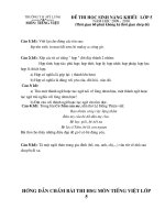 de thi HSG T.Viet cap truong