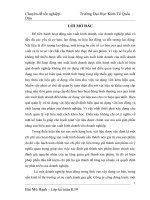 luận văn kế toán Thực trạng kế toán nguyên vật liệu tại Công ty Cổ phần Đầu tư và Phát triển Hạ tầng Việt Đức