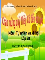TNXH BÀI Trái đất là một hành tinh trong hệ mặt trời