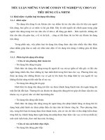 NHỮNG VẤN ĐỀ CƠ BẢN VỀ NGHIỆP VỤ CHO VAY TIÊU DÙNG CỦA Ngân hàng thương mại