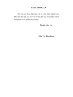 luận văn kế toán Hoàn thiện kế toán tập hợp chi phí sản xuất và tính giá thành sản phẩm tại công ty Trách nhiệm hữu hạn một thành viên điện tử Sao Mai-