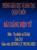 TN-XH tuan 30. NHẬN BIẾT CÂY CỐI LOÀI VẬT