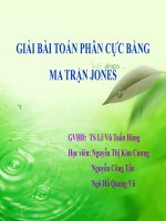 Tiểu luận giải bài toán phân cực bằng ma trận JONES