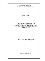 Chiến lược cạnh tranh của ngân hàng liên doanh Shinhan Vina đến năm 2020 (1)