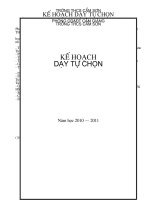 KẾ HOẠCH DẠY TỰ CHỌN NĂM HỌC 2010-2011