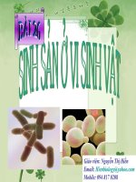 Bài 26: Sinh sản ở vi sinh vật