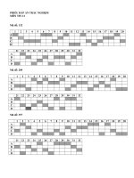 Dap an De Kiem Tra 1 tiet