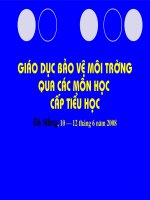 GIÁO DỤC BẢO VỆ MÔI TRƯỜNG QUA MÔN LỊCH SỬ-KHOA HỌC - ĐỊA LÝ
