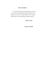 Luận án tiến sỹ - Hoàn thiện cơ chế, chính sách phát triển dịch vụ phân phối bán lẻ hàng hóa ở Việt Nam trong thời kỳ hội nhập