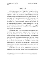 luận văn kế toán Đánh giá chung và một số ý kiến nhằm hoàn thiện công tác kế toán tại Công ty CP phụ gia bê tông Phả Lại