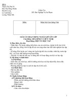 hd ngoai gio len lop lơp