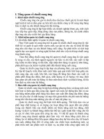 Mô hình quản trị chuỗi cung ứng của Cocacola