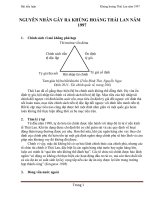 Tiểu luận nguyên nhân gây ra khủng hoảng tại thái lan năm 1997