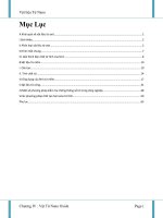 Giáo trình vật liệu từ Nano