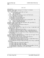 Nâng cao hiệu quả sử dụng vốn tại Công ty cổ phần thiết bị Thủy lợi